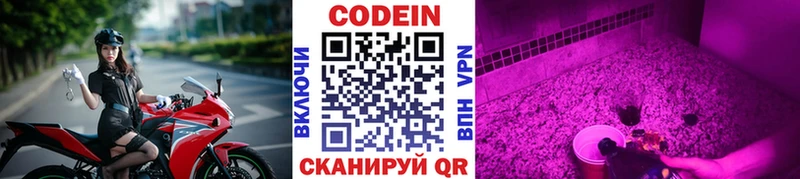Codein Purple Drank  Опочка 