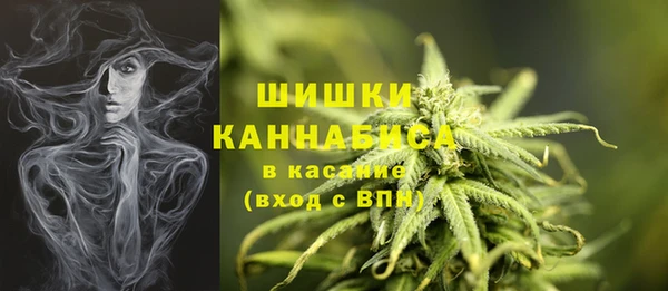 гашик Краснослободск