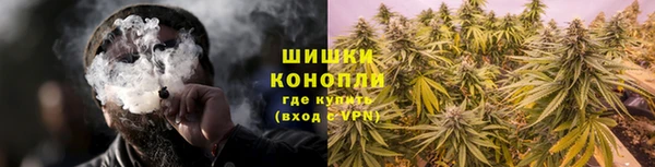 гашик Краснослободск
