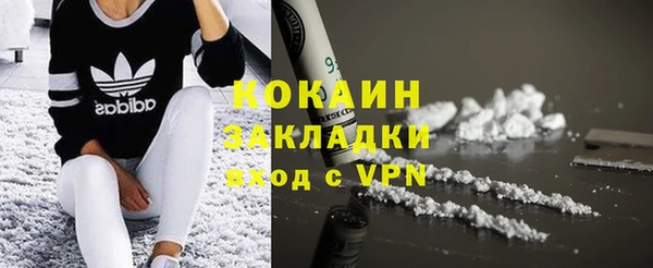 индика Краснотурьинск