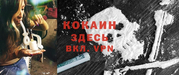 ешки Корсаков