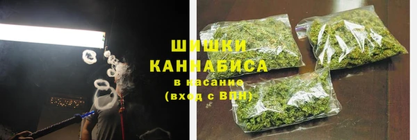 ешки Корсаков