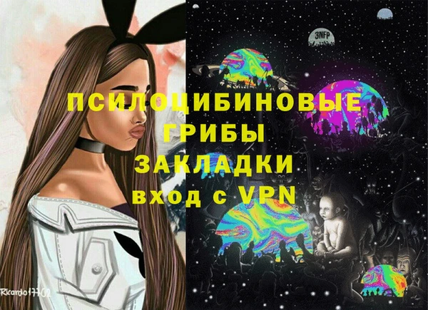 сатива Коряжма
