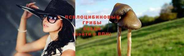 ешки Корсаков