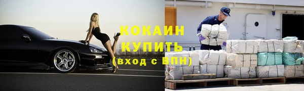 сатива Коряжма