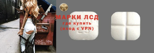индика Краснотурьинск