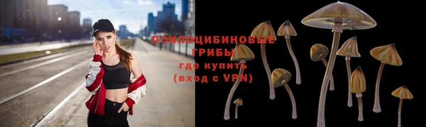 МДМА Козельск