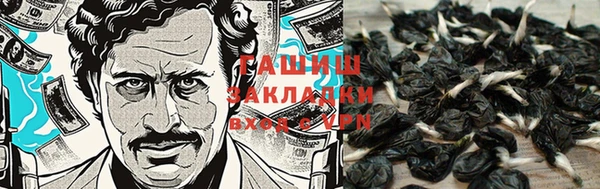 гашик Краснослободск