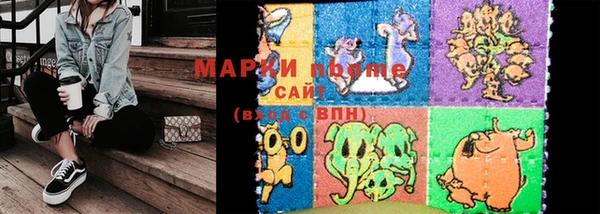 индика Краснотурьинск