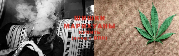 гашик Краснослободск