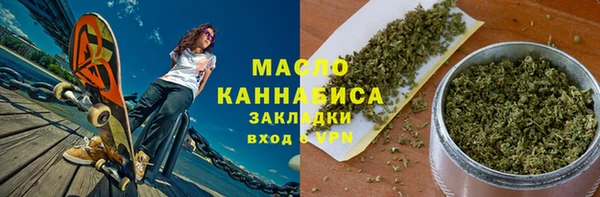 индика Краснотурьинск