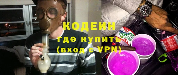 ешки Корсаков