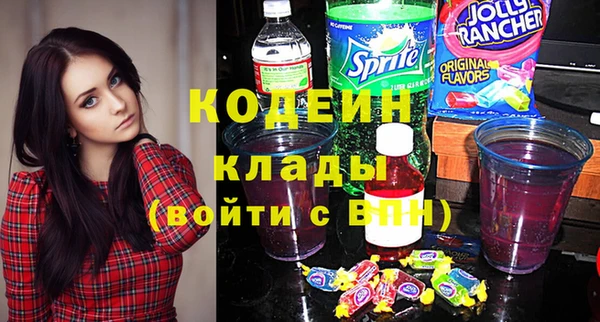 гашик Краснослободск