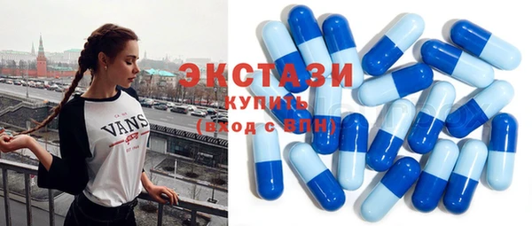 индика Краснотурьинск